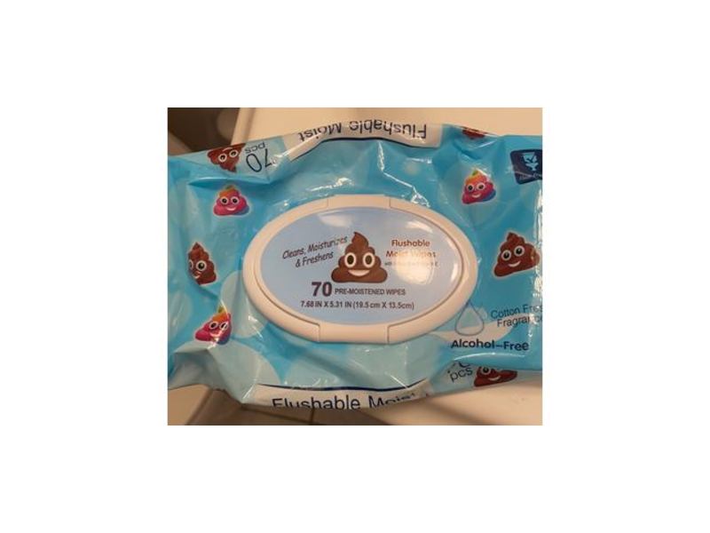 Premier Wholesale Flushable Moist Wipes With Natural, Aloe & Vitamin E, 70 Count