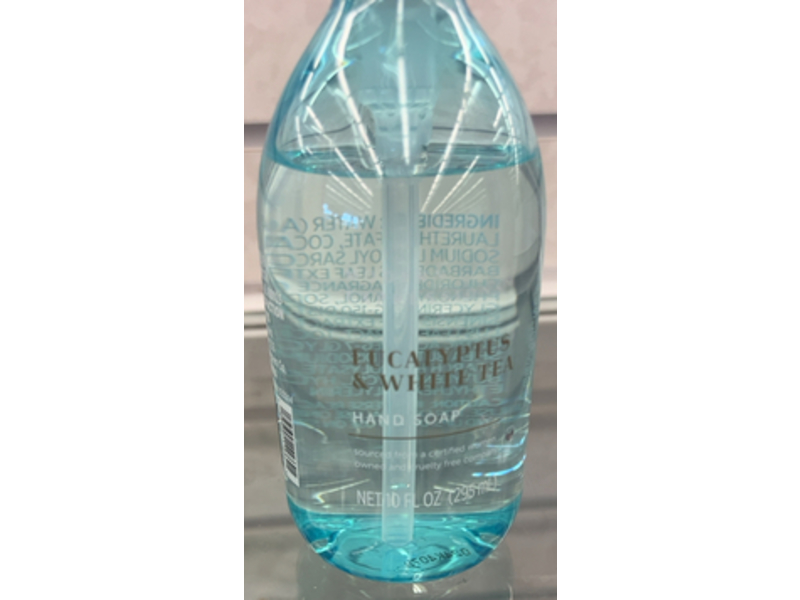 Modern Expressions Hand Soap, Eucalyptus & White Tea, 10 fl oz/295 mL