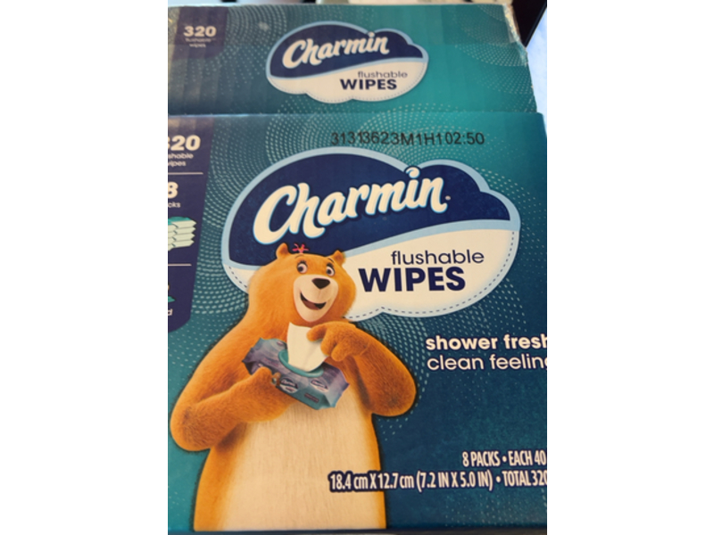Charmin Flushable Wipes, 320 Count