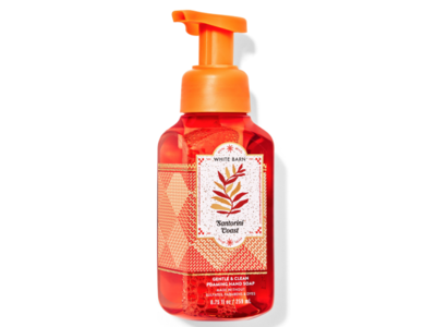 Bath & Body Works Gentle & Clean Foaming Hand Soap, Santorini Coast, 8.75 fl oz/259 mL