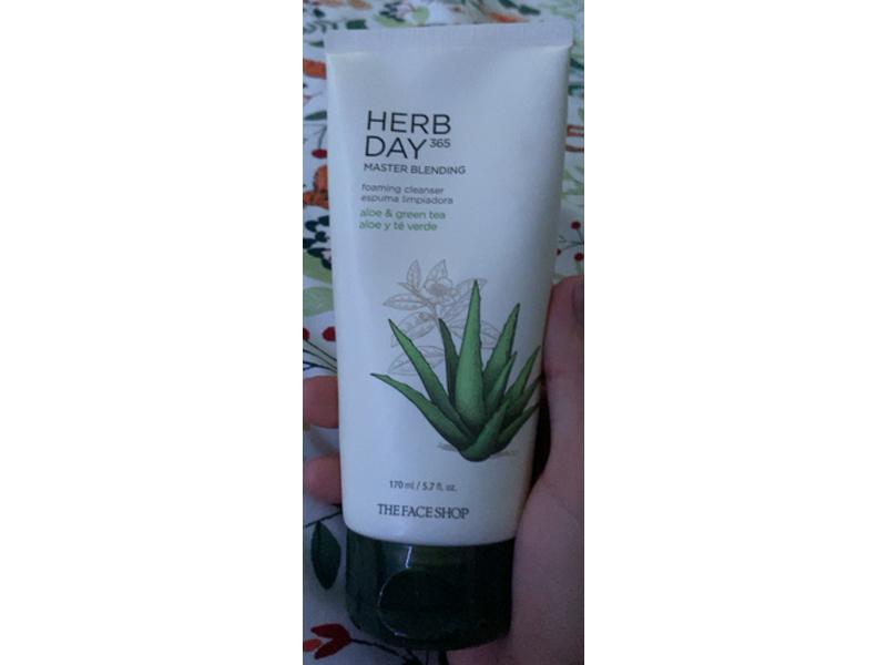 The Face Shop Herb Day 365 Master Blending Foaming Cleanser, Aloe & Green Tea, 5.7 fl oz/170 mL