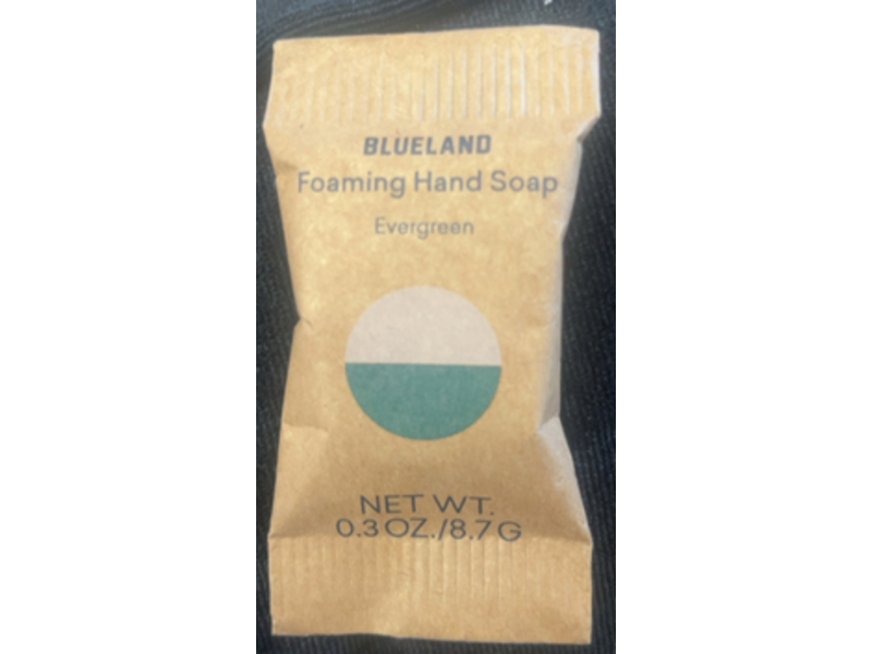 Blueland Foaming Hand Soap, Evergreen, 0.3 oz/8.7 g, Pack Of 10