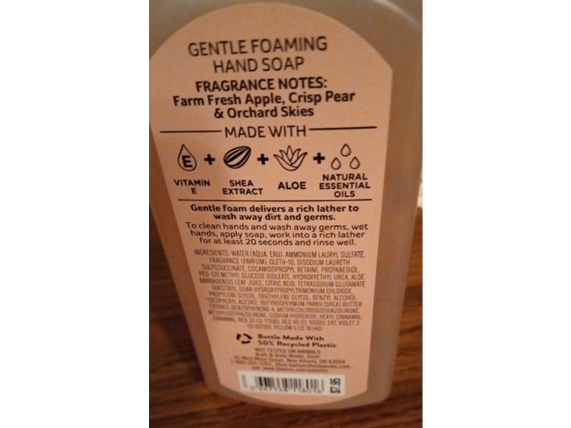 Bath & Body Works Gentle Foaming Hand Soap, Sweet Apple, 8.75 fl oz/259 mL