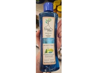 Arbol Verde Stimulating Hair Growth Shampoo, Bergamot + Flaxseed + Horestail & Blueberry, 16.9 fl oz/500 mL - Image 3