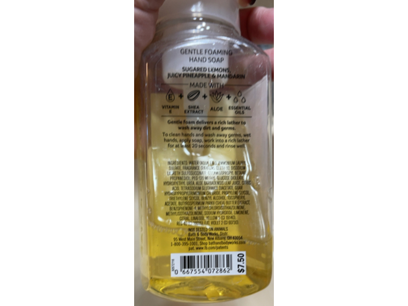 Bath & Body Works Sun Washed Gentle Foaming Hand Soap, Aloe Water, 8.75 fl oz/259 mL