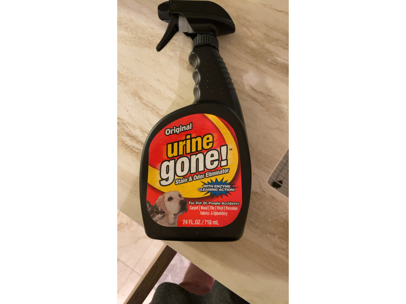 Urine Gone! Pet Stain Remover & Odor Eliminator for Dog and Cat 24 Fl Oz (1pack)