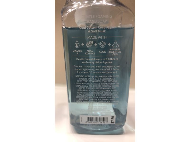 Bath & Body Works White Barn Gentle Foaming Hand Soap, Sun Drenched Linen, 8.75 fl oz/259 mL, Pack Of 2