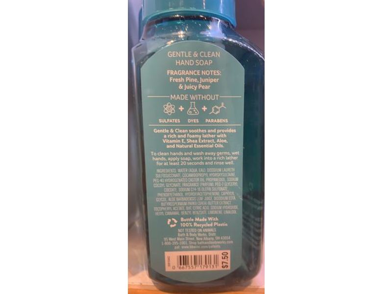 Bath & Body Works Crisp Morning Air Gentle & Clean Foaming Hand Soap, 8.75 fl oz/259 mL