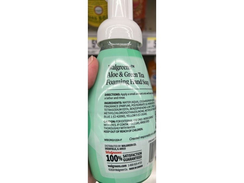 Walgreens Foaming Hand Soap, Aloe & Green Tea, 10 fl oz/296 mL