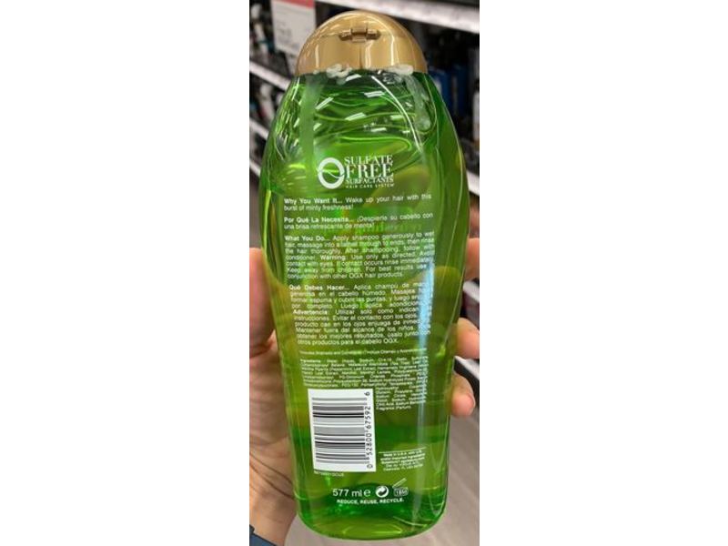 Ogx Refreshing Scalp+ Shampoo, Teatree Mint, 19.5 fl oz/577 mL