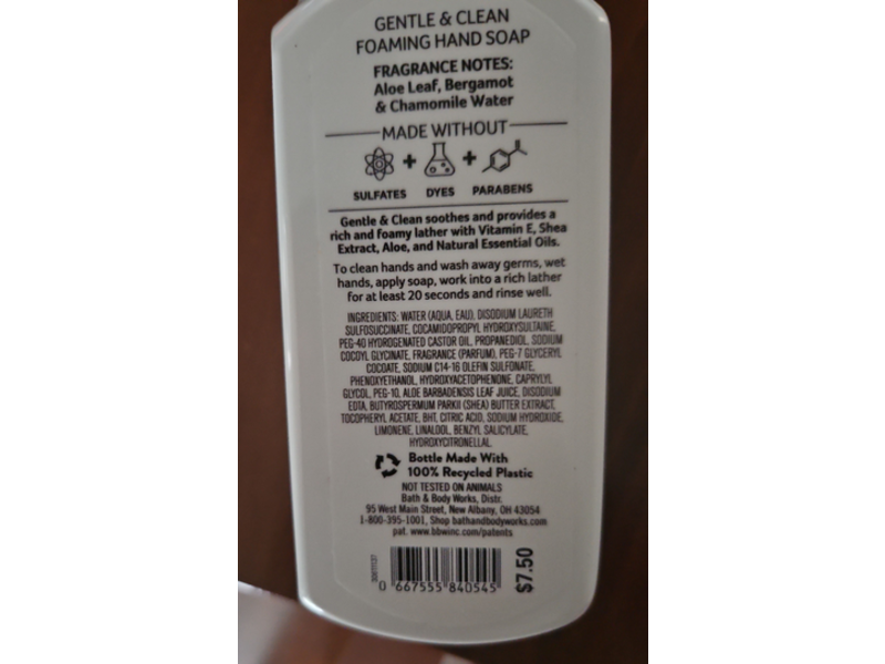 Bath & Body Works Gentle & Clean Foaming Hand Soap, Fresh Rainfall, 8.75 fl oz