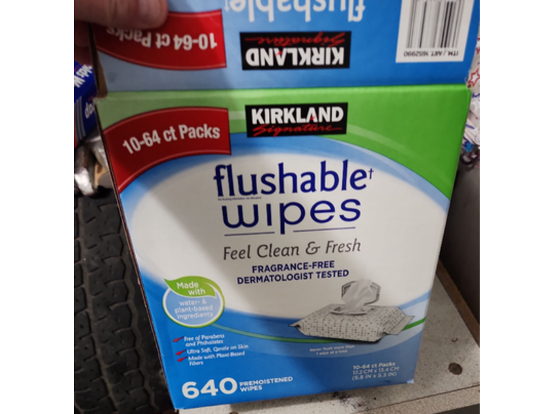 Kirkland Flushable Wipes, Feel Clean & Fresh, Fragrance Free, 640 Counts