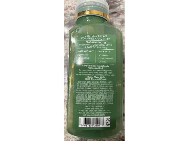 Bath & Body Works Gentle & Clean Foaming Hand Soap, Eucalyptus Mint, 8.75 fl oz/259 mL