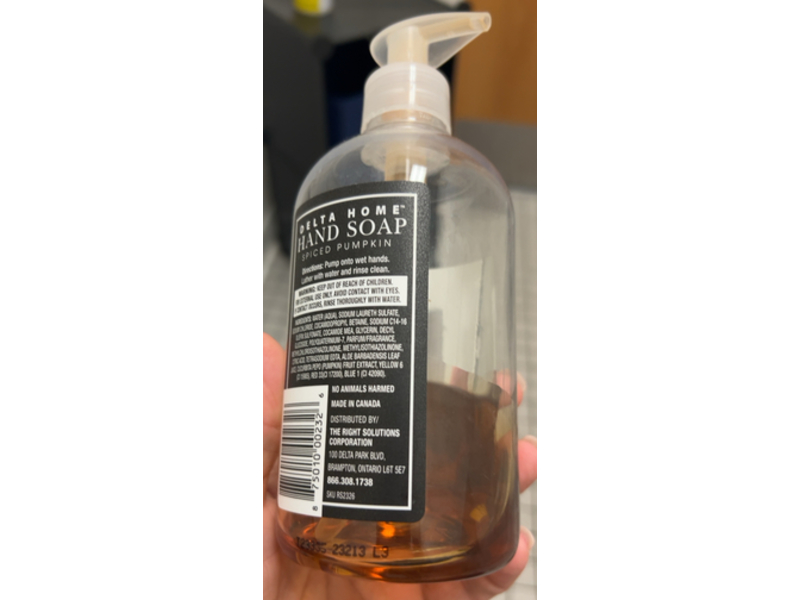 Delta Home Hand Soap, Spiced Pumpkin, 16 fl oz/473 mL