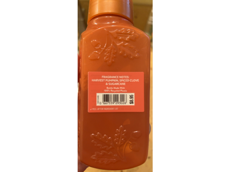 Bath & Body Works Gentle Clean Foaming Hand Soap, Sweet Cinnamon Pumpkin, 8.75 fl oz/259 mL