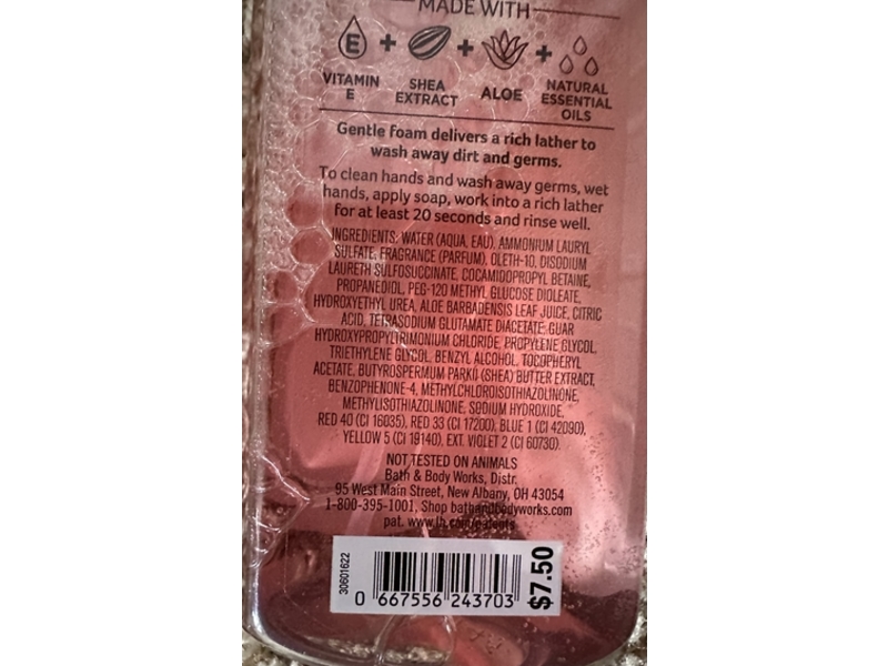 Bath & Body Works Foaming Hand Soap, Pink Peach Blossom, 8.75 fl oz/259 mL