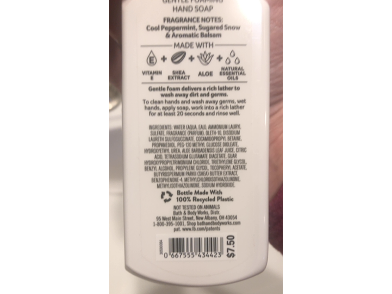 Bath & Body Works Gentle Foaming Hand Soap, Let It Snow Twisted Peppermint, 8.75 fl oz/259 mL