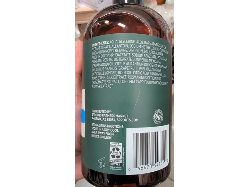Real Root By Sprouts Moisturizing Body Wash, Blue Ginger & Pomelo, 16 fl oz/473 mL