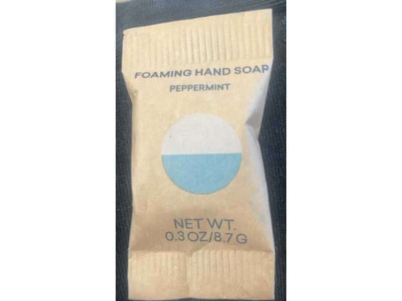 Blueland Foaming Hand Soap, Peppermint, 0.3 oz/8.7 g