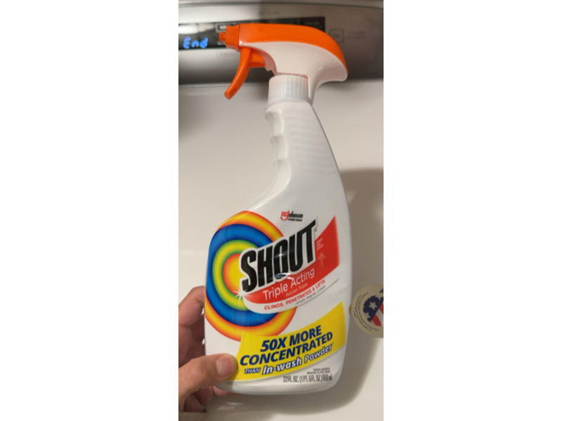 SC Johnson Shout Triple-Acting Stain Remover, 22 fl oz/650 mL
