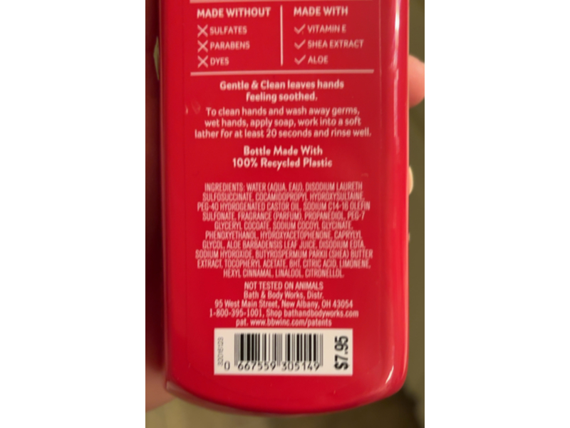 Bath & Body Works Gentle & Clean Foaming Hand Soap, Winter Candy Apple, 8.75 fl oz / 259 mL