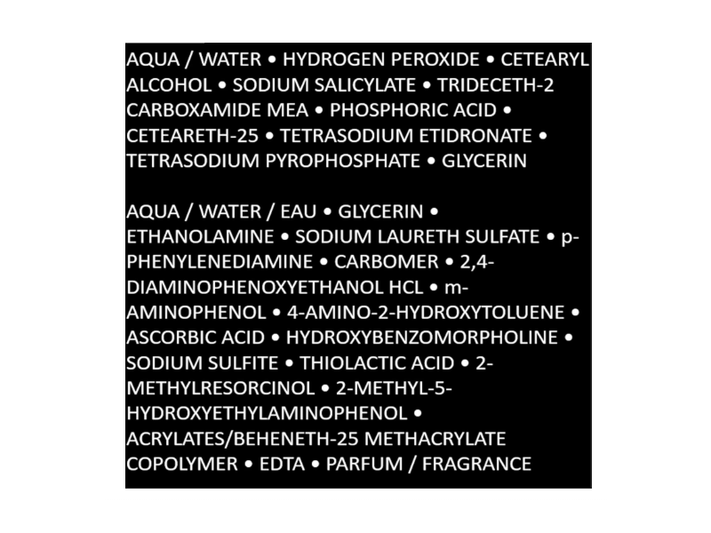 L’Oreal Paris Men Expert One Twist Hair Color, Jet Black 01, 1.7 fl oz