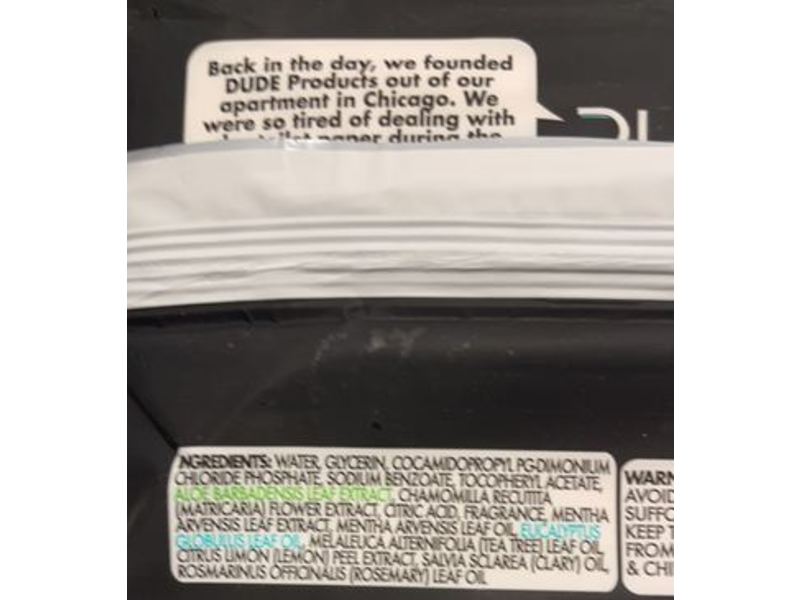 Dude Wipes Flushable Wipes, Mint Chill, 48 Count