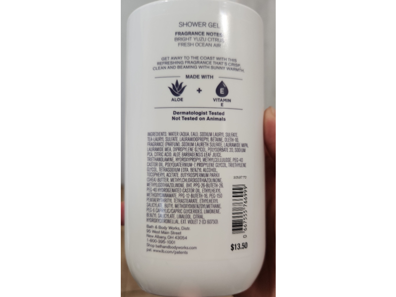 Bath & Body Works Fresh Getway Shower Gel, Aloe + Vitamin E , 10 fl oz/295 mL