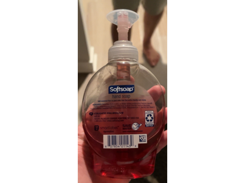 Softsoap Sweet Wreath Liquid Hand Soap, Apple Spice Scent, 7.5 fl oz/221 mL