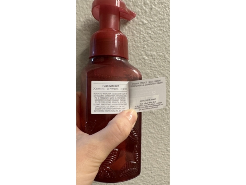 Bath & Body Works Gentle & Clean Foaming Hand Soap, Sunrise Woods, 8.75 fl oz/259 mL