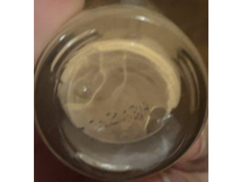 Milani Conceal + Perfect 2-In-1 Foundation + Concealer, 04 A2 Golden Vanilla, 1 fl oz/30 mL