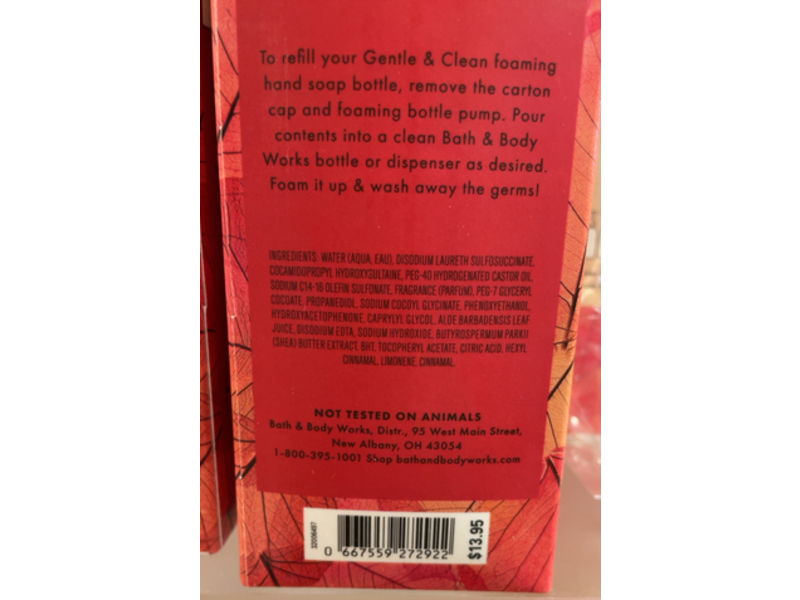 Bath & Body Works Gentle & Clean Foaming Hand Soap Refill, Afternoon Apple Picking, 32 fl oz/946 mL