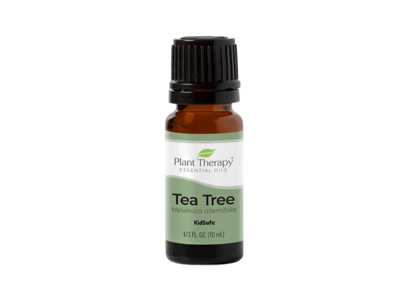 Plant Therapy Pure Essential Oil, Tea Tree, 0.33 fl oz/10 mL
