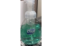 Dial Basics Foam Hand Soap, 15.2 fl oz/450 mL, Pack of 4 - thumbnail 2