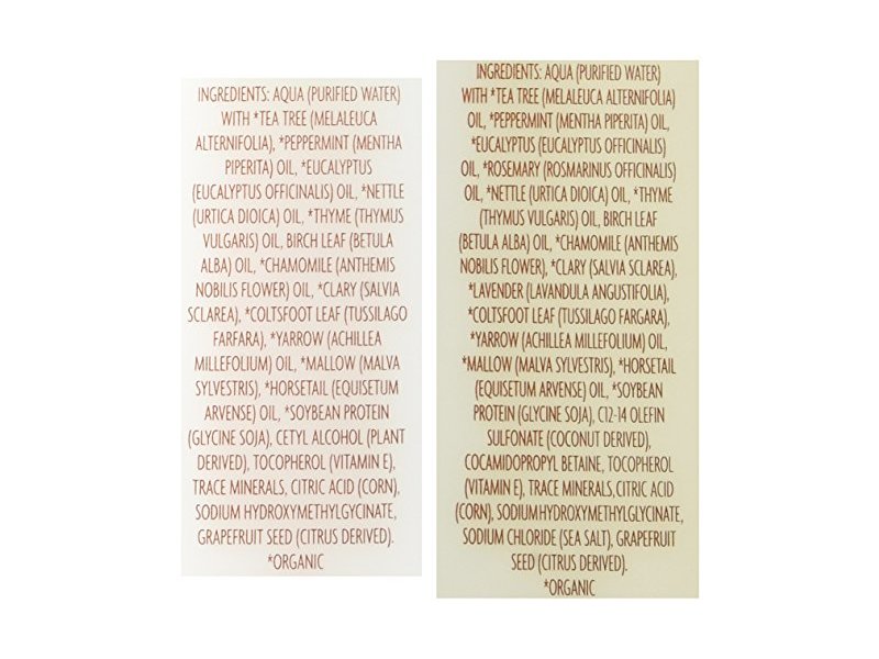 Trader Joe's Tea Tree Tingle Shampoo & Conditioner, 16 oz.