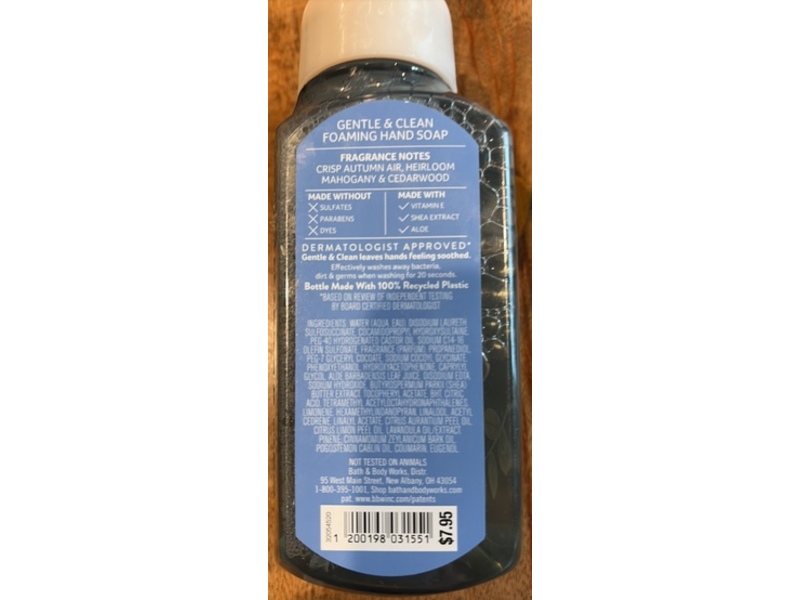 Bath & Body Works Flannel Gentle & Clean Foaming Hand Soap, 8.75 fl oz/ 259 mL