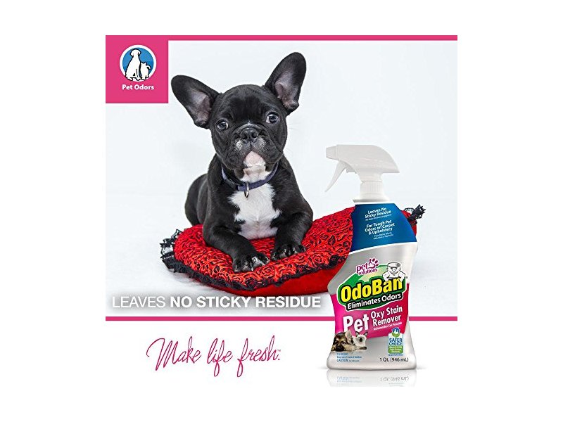 Odoban Pet Oxy Stain Remover, 32 Fl. Oz.