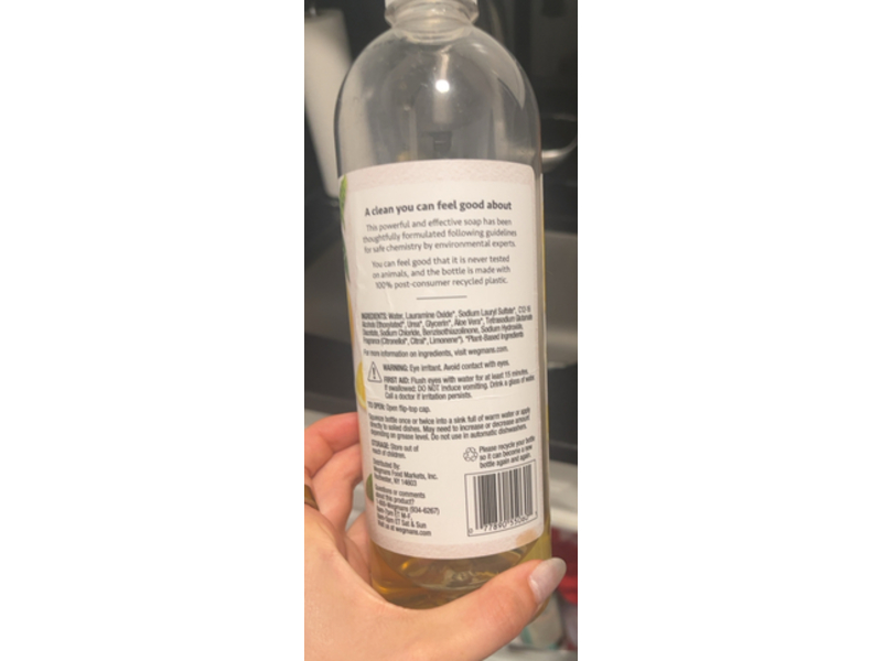 Wegmans Dish Detergent, Lemon Basil, 25 fl oz/739 mL