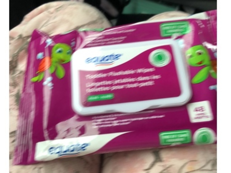 Equate Toddler Flushable Wipes, 48 Count