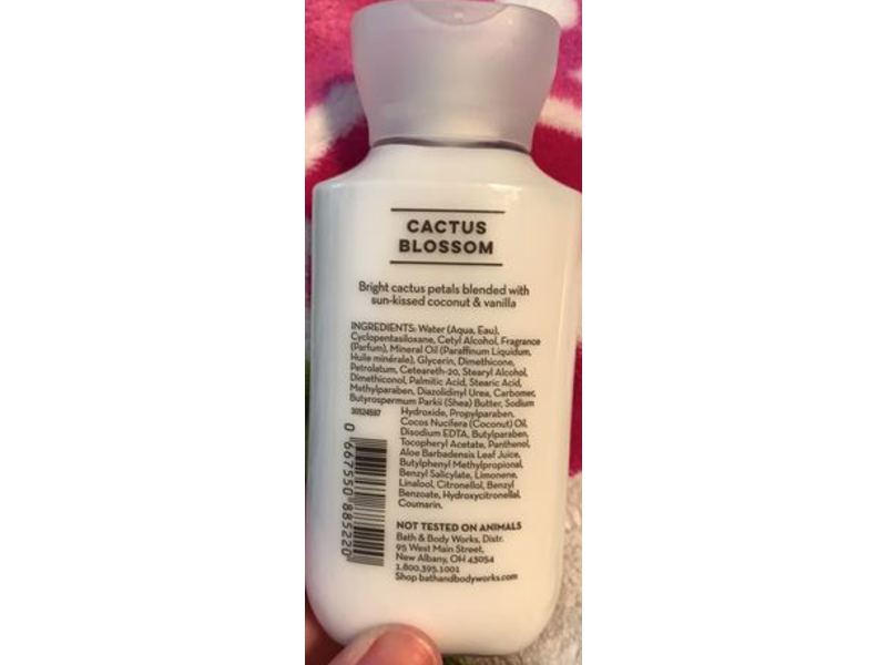 CAC Base Lotion 2箱ココナッツ1個 CAC Base Lotion 2個ココナッツ1個