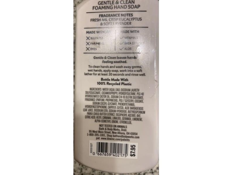 Bath & Body Works Gentle & Clean Foaming Hand Soap, Laundry Day, 8.75 fl oz/259 mL