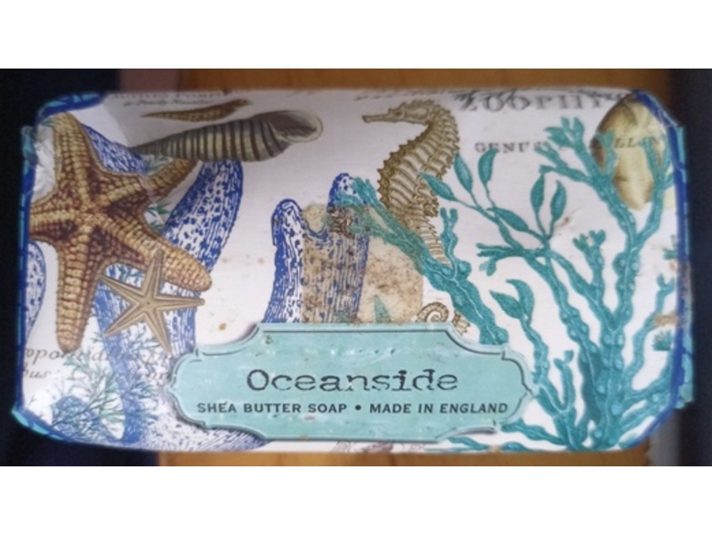 Michel Design Works Shea Butter Artisanal Soap, Oceanside, 8.7 oz/246 g
