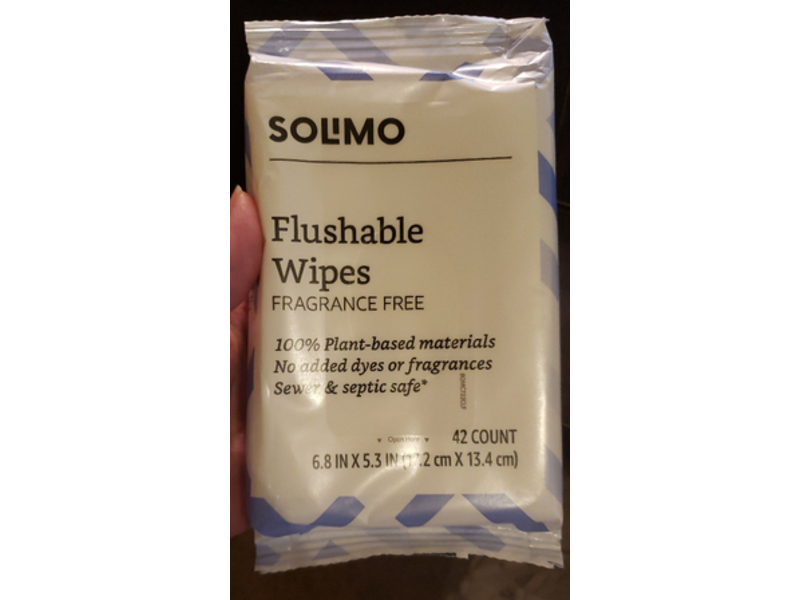 Solimo Flushable Wipes, Fragrance Free, 42 Count
