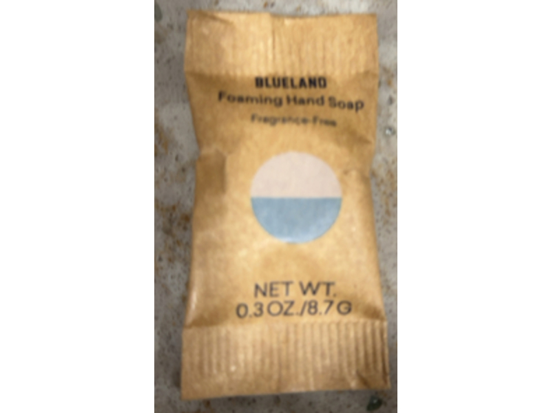Blueland Foaming Hand Soap, 0.3 oz/8.7 g