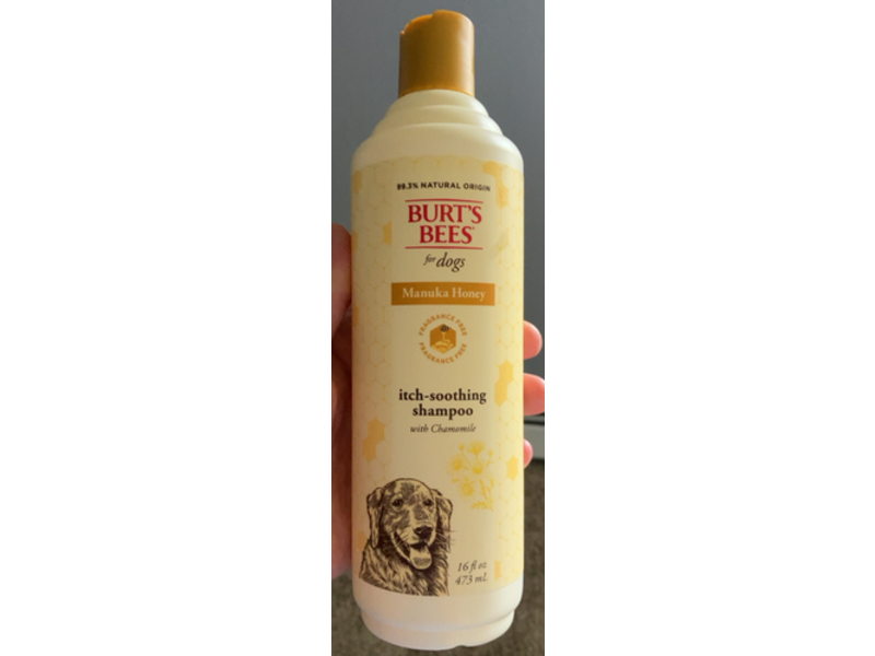 Burt's Bees Itch - Soothing Shampoo, Manuka Honey, Chamomile, 16 fl oz/473 mL