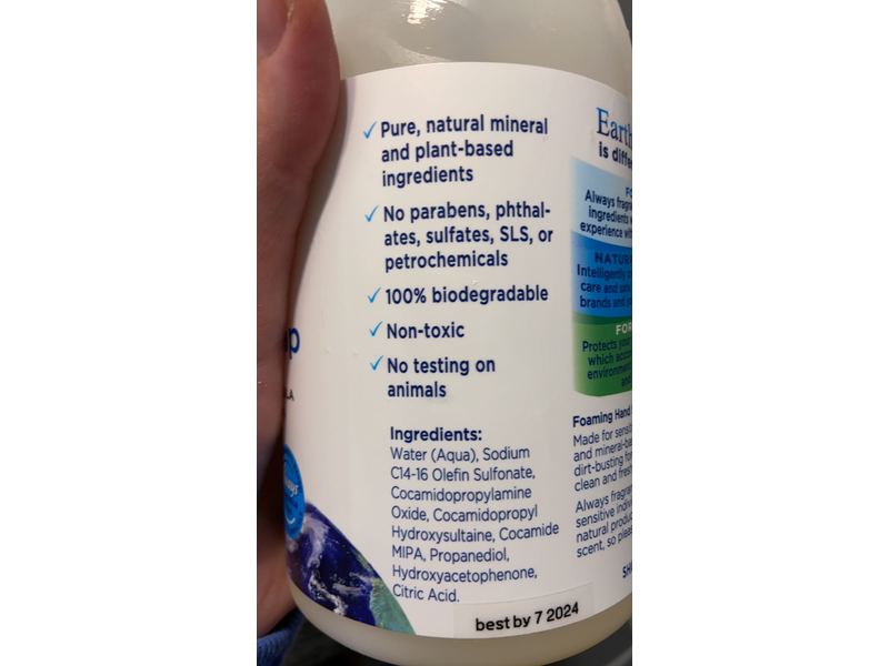 Earthview Foaming Hand Soap, 19 fl oz/550 mL
