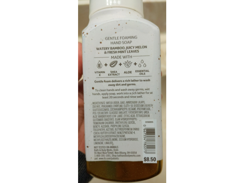 Bath & Body Works Gentle Foaming Hand Soap, Sweet Mint & Rain, 8.75 fl oz/259 mL