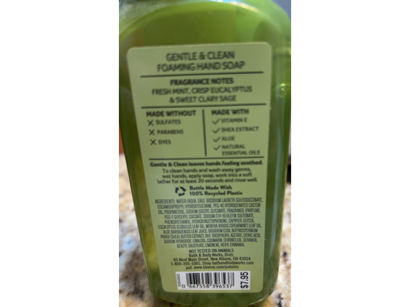 Bath & Body Works White Barn Gentle Foaming Hand Soap, Eucalyptus Mint, 8.75 fl oz|259 mL