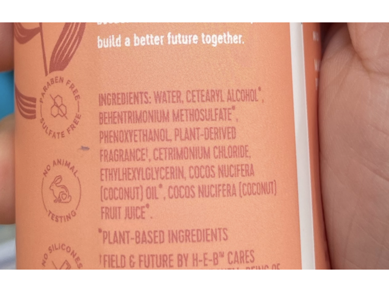 Field & Future Leave-In Detangler, 8 fl oz/236 mL