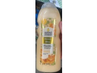 Natural Blends Repairing Shampoo, Honey Bliss, 20 fl oz/590 mL - Image 2